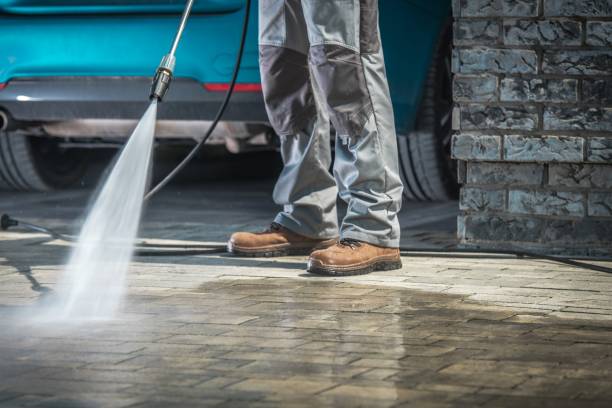 Best Fleet Vehicle Washing  in Moon Lake, FL